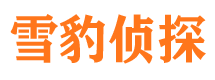 略阳寻人公司